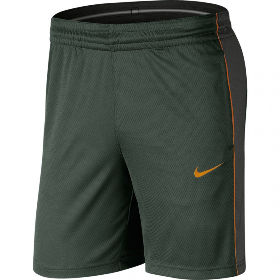 nike dri fit shorts dam